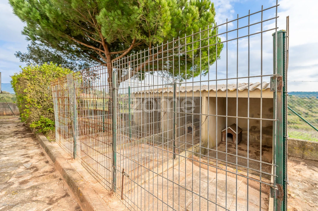 Terreno para Venda em Ventosa Foto 15