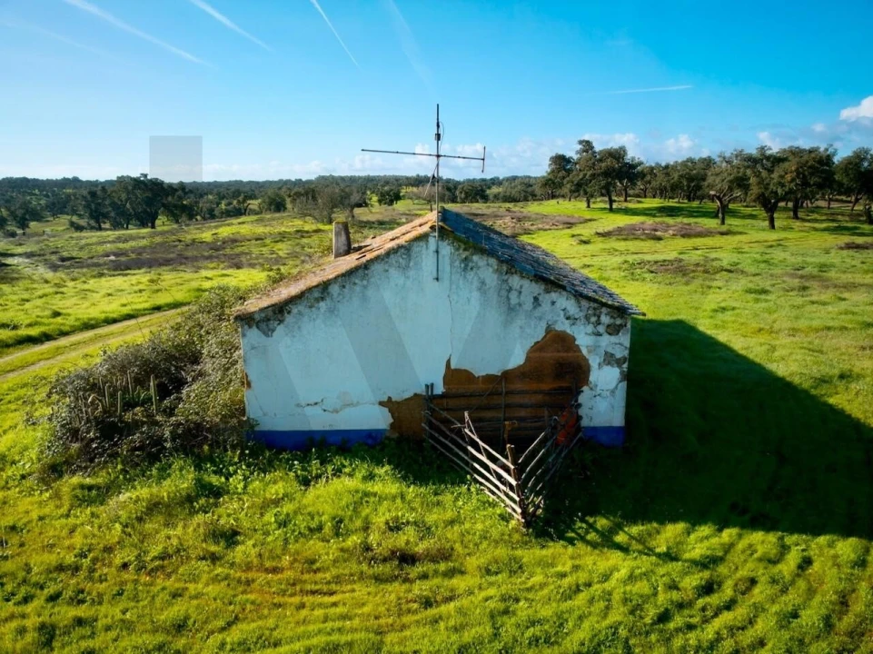 Quinta T5 para Venda em São Domingos e Vale de Água Foto 6