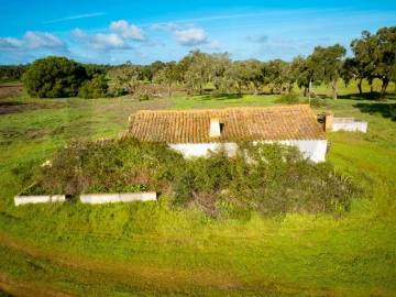 Quinta T5 para Venda em São Domingos e Vale de Água
