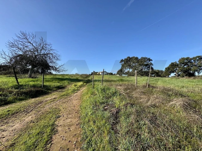 Quinta T5 para Venda em São Domingos e Vale de Água Foto 21