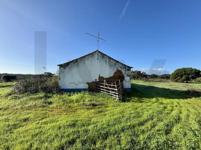 Quinta T5 para Venda em São Domingos e Vale de Água Foto 18