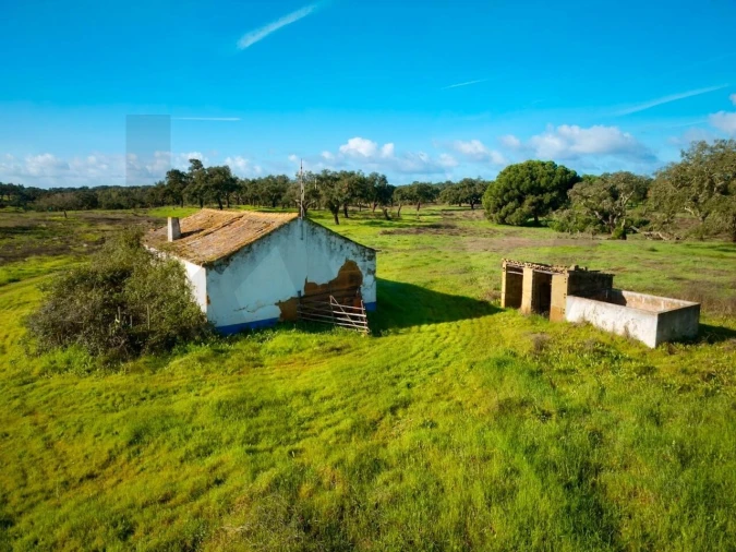 Quinta T5 para Venda em São Domingos e Vale de Água Foto 5