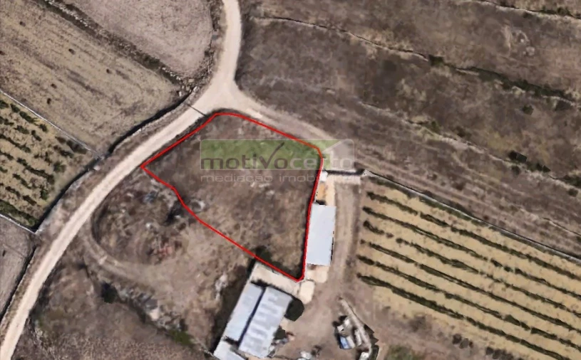 Terreno para Venda em São João das Lampas e Terrugem Foto 1