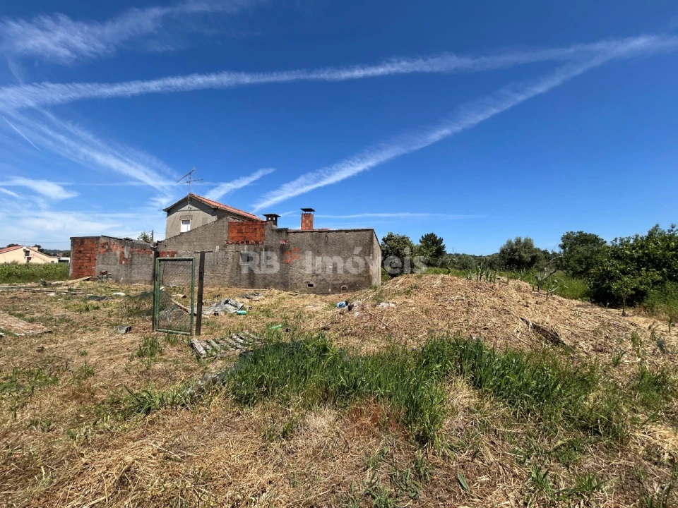 Terreno para Venda em São Pedro de Tomar Foto 4