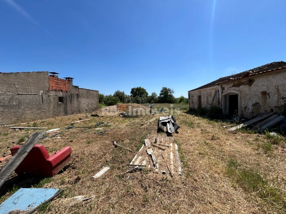 Terreno para Venda em São Pedro de Tomar Foto 6
