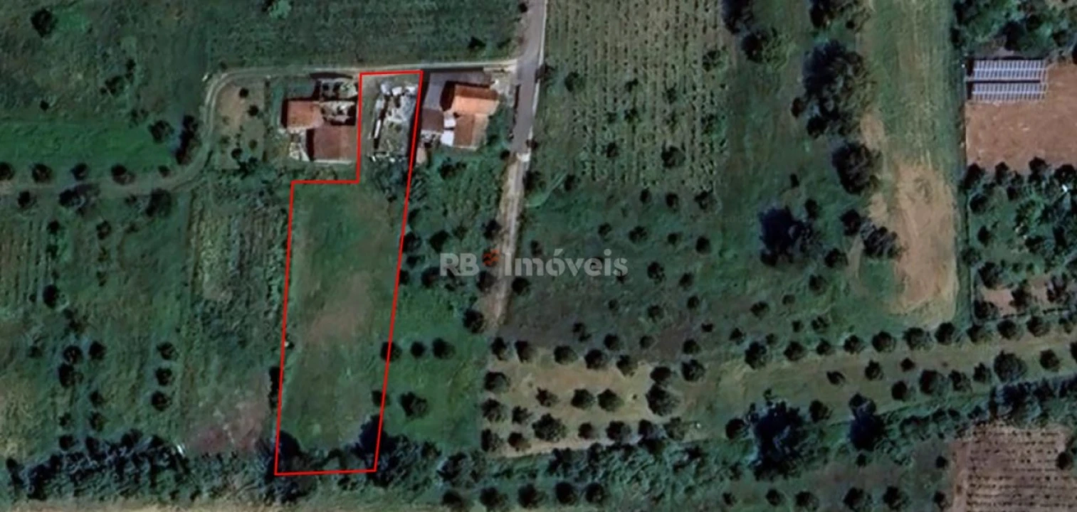 Terreno para Venda em São Pedro de Tomar Foto 3