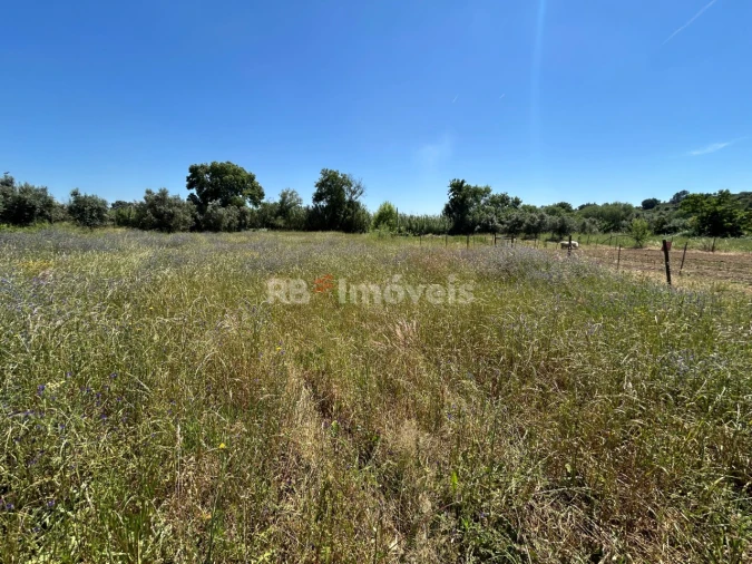 Terreno para Venda em São Pedro de Tomar Foto 2