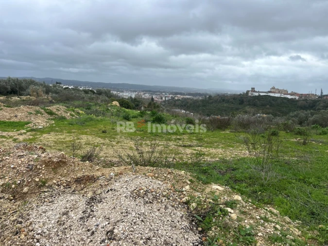 Terreno para Venda em São João Baptista e Santa Maria dos Olivais Foto 13