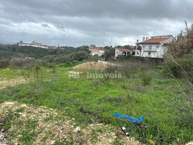 Terreno para Venda em São João Baptista e Santa Maria dos Olivais Foto 15