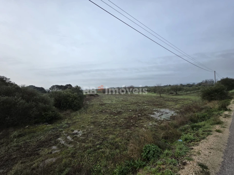 Terreno para Venda em Olaia e Paço Foto 1