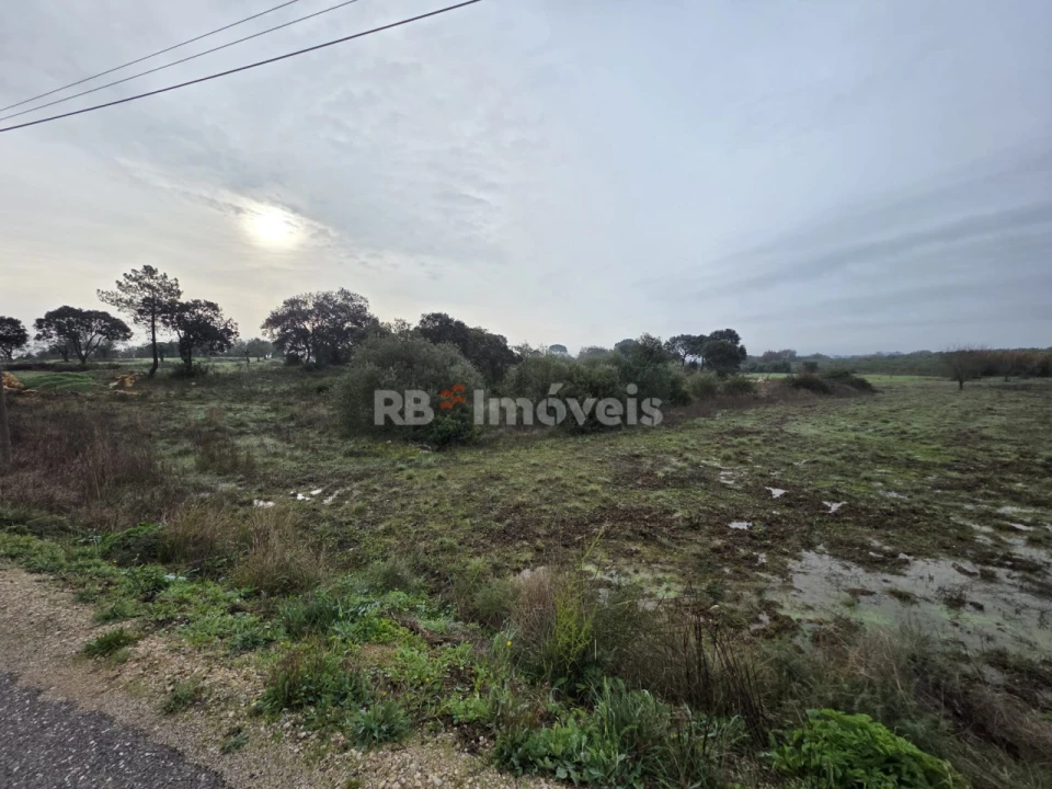 Terreno para Venda em Olaia e Paço Foto 4