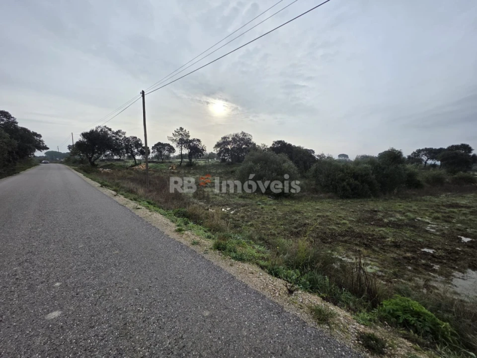 Terreno para Venda em Olaia e Paço Foto 5
