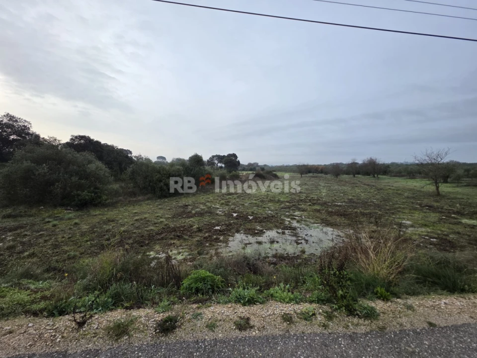 Terreno para Venda em Olaia e Paço Foto 6