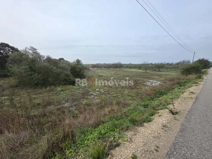 Terreno para Venda em Olaia e Paço Foto 3