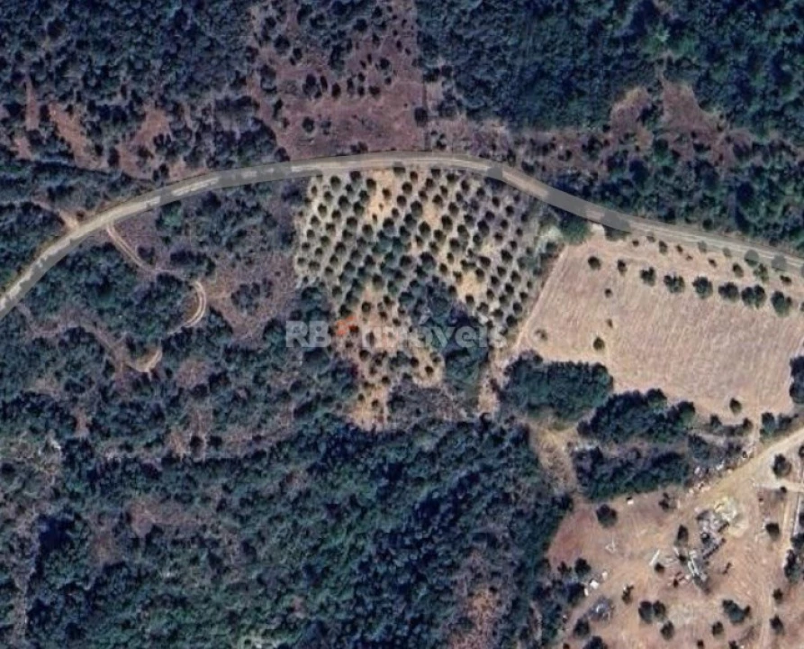 Terreno Agricola ou Rústico para Venda em Chancelaria Foto 2