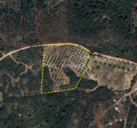 Terreno Agricola ou Rústico para Venda em Chancelaria