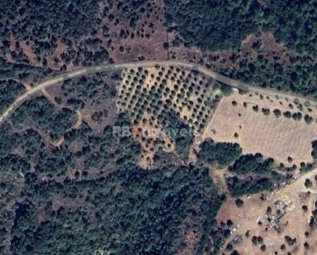 Terreno Agricola ou Rústico para Venda em Chancelaria Foto 2