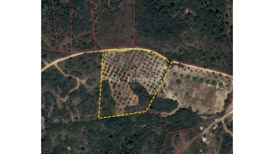 Terreno Agricola ou Rústico para Venda em Chancelaria