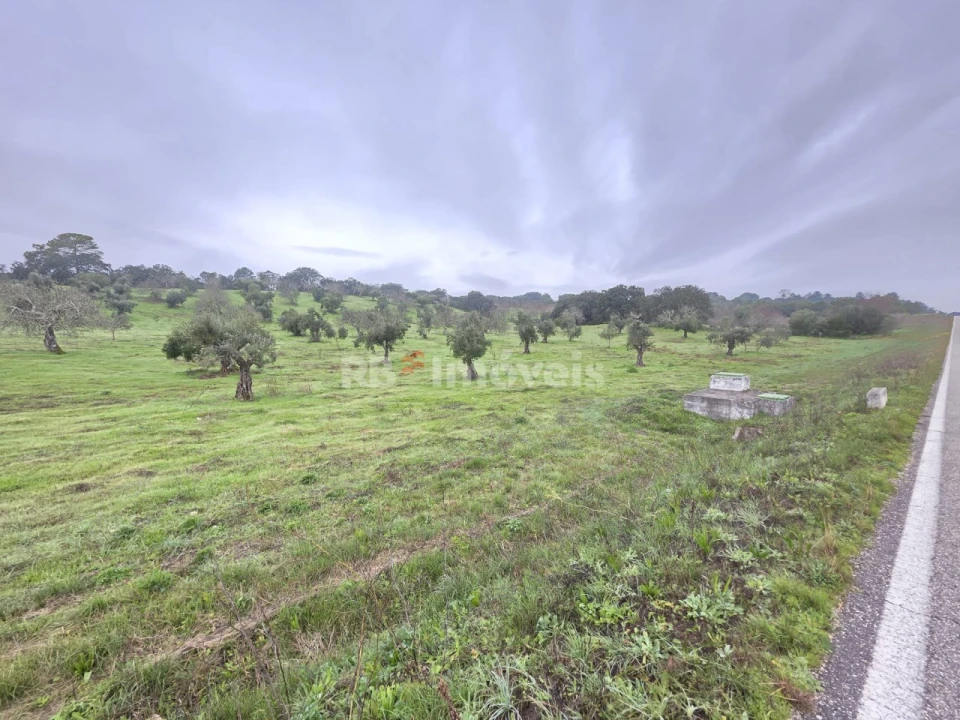 Terreno para Venda em Olaia e Paço Foto 1