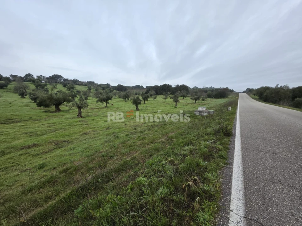 Terreno para Venda em Olaia e Paço Foto 2
