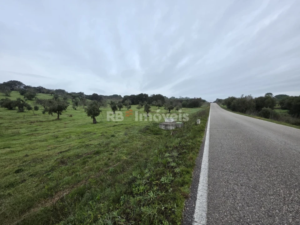 Terreno para Venda em Olaia e Paço Foto 5
