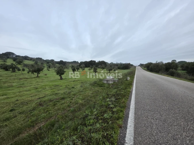 Terreno para Venda em Olaia e Paço Foto 5