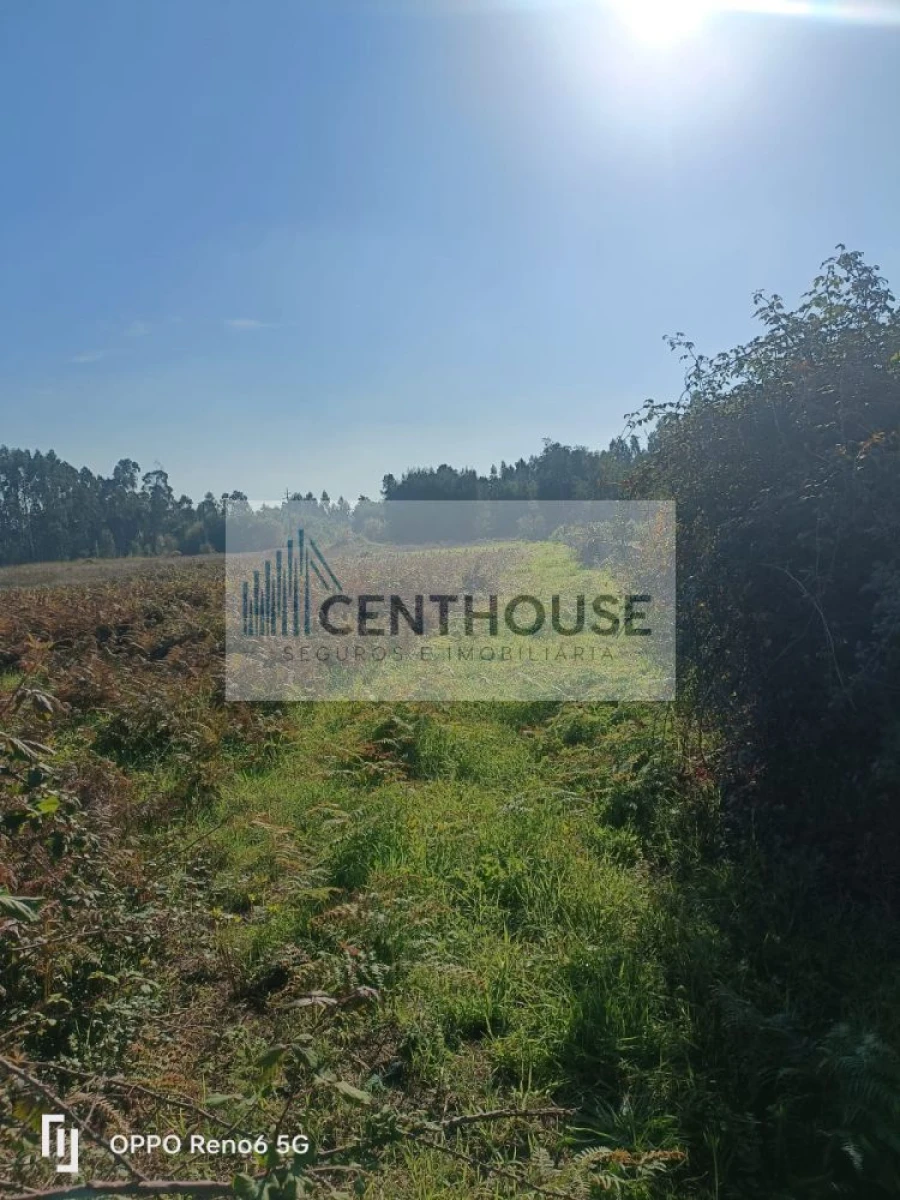 Moradia T3 para Venda em Carapelhos Foto 6