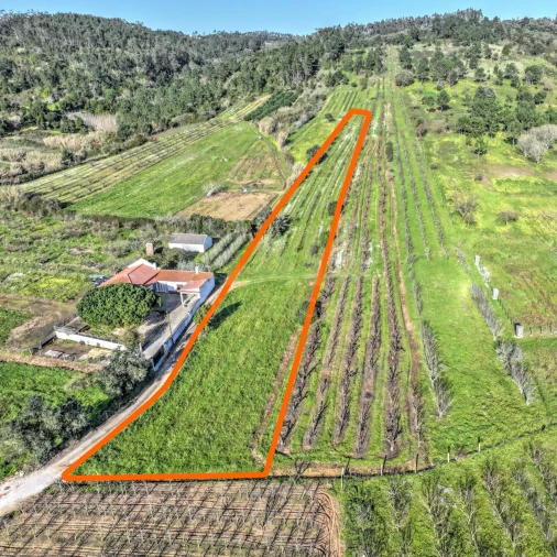 Terreno para Venda em Roliça Foto 4