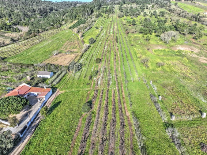 Terreno para Venda em Roliça Foto 7
