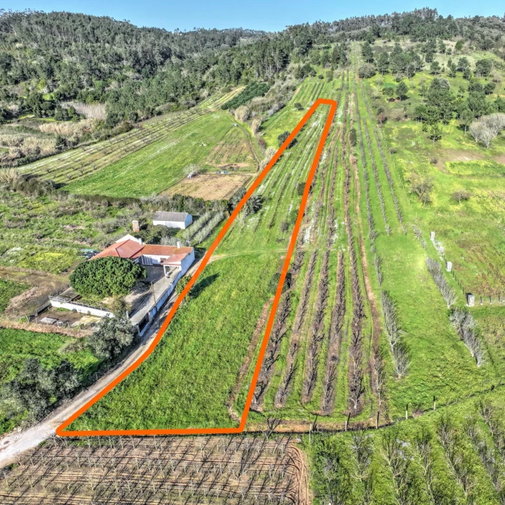 Terreno para Venda em Roliça Foto 4