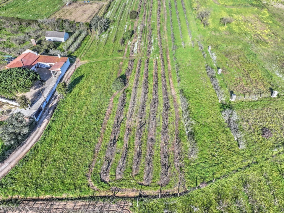 Terreno para Venda em Roliça Foto 6