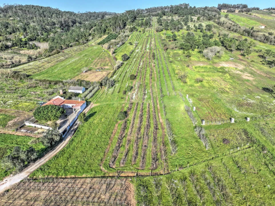 Terreno para Venda em Roliça Foto 5