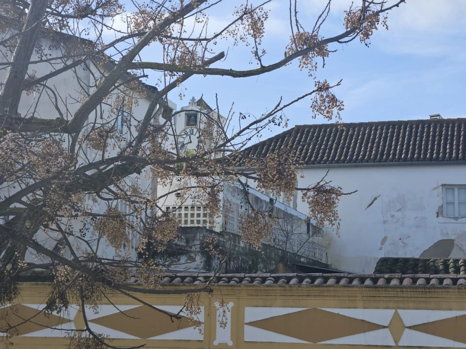 Apartamento T2 para Venda em Tavira (Santa Maria e Santiago) Foto 32