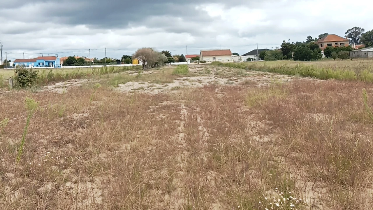 Terreno para Venda em Glória do Ribatejo e Granho Foto 4