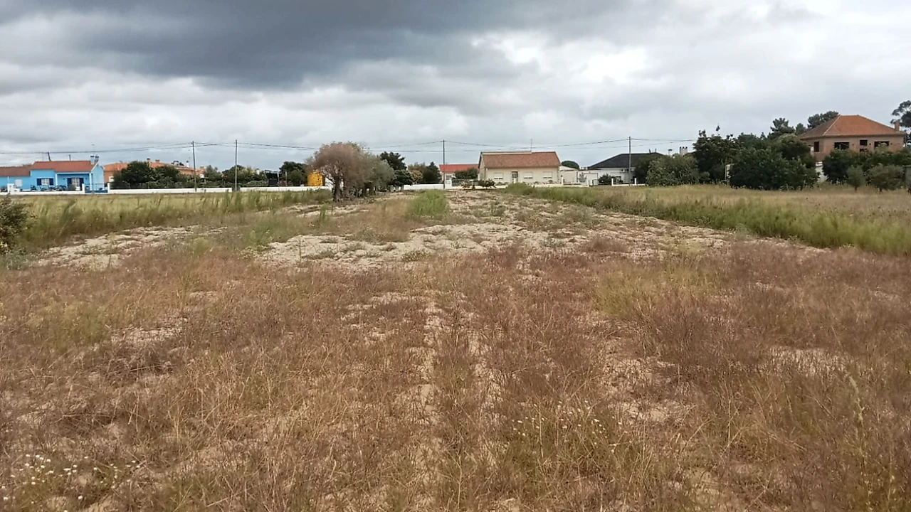 Terreno para Venda em Glória do Ribatejo e Granho Foto 8