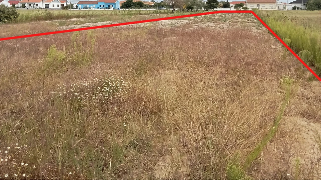 Terreno para Venda em Glória do Ribatejo e Granho Foto 5