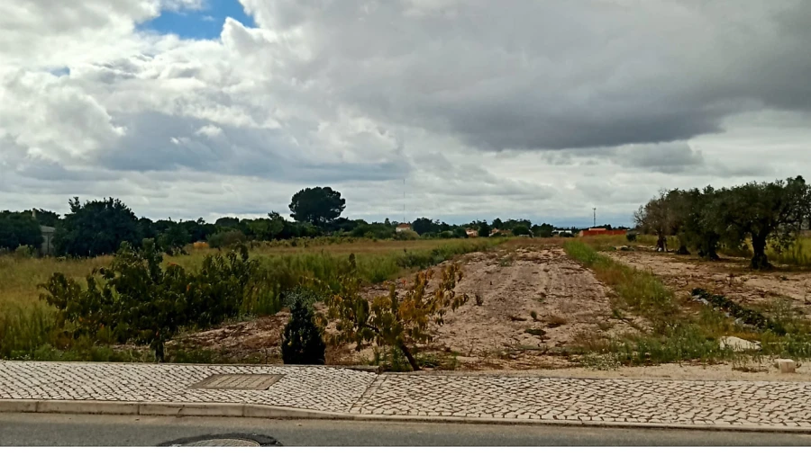 Terreno para Venda em Glória do Ribatejo e Granho Foto 1