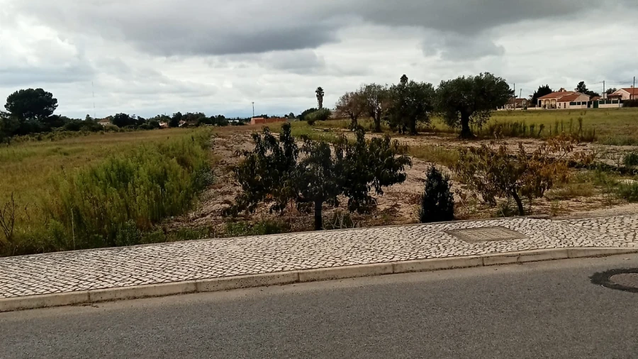 Terreno para Venda em Glória do Ribatejo e Granho Foto 2