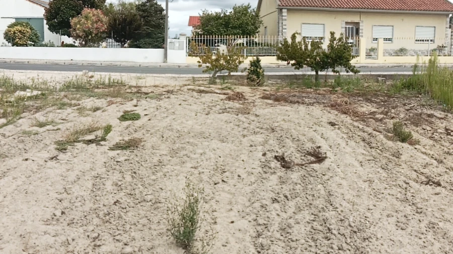 Terreno para Venda em Glória do Ribatejo e Granho Foto 7