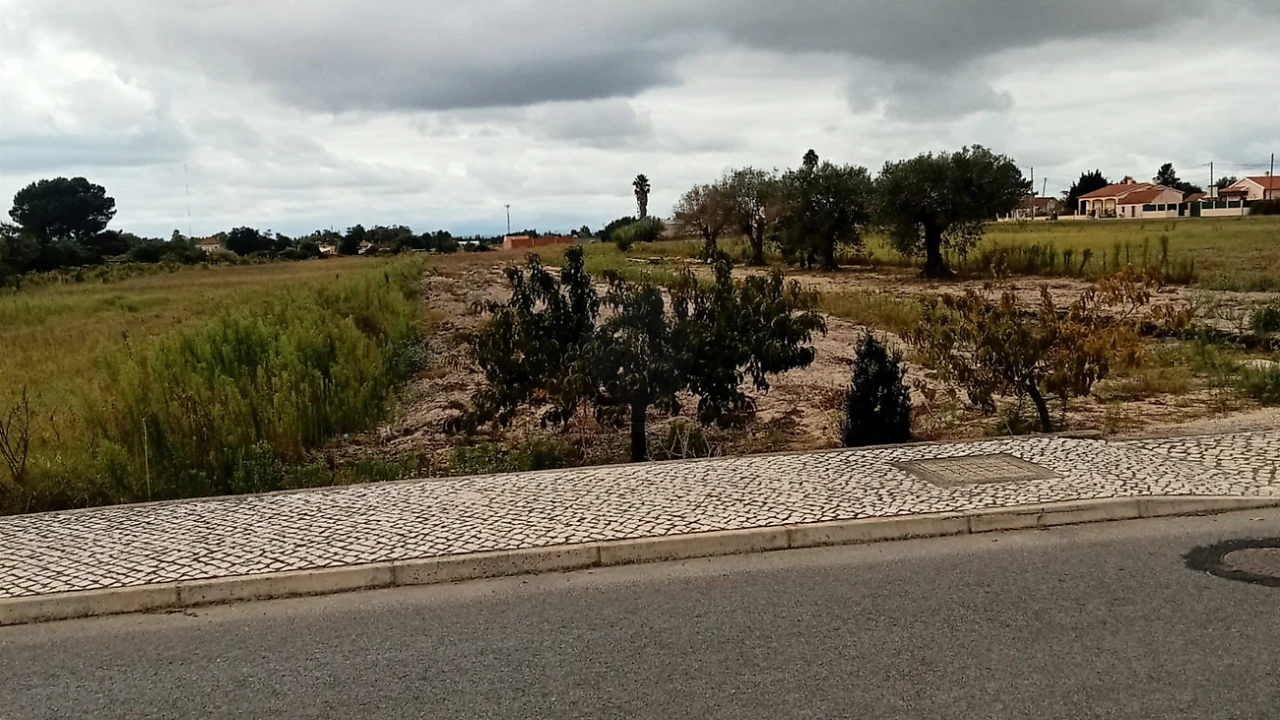 Terreno para Venda em Glória do Ribatejo e Granho Foto 2