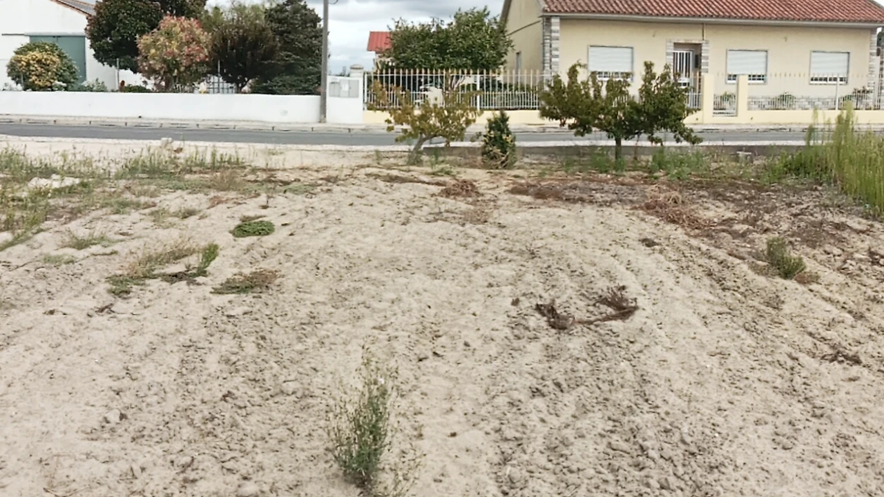 Terreno para Venda em Glória do Ribatejo e Granho Foto 7