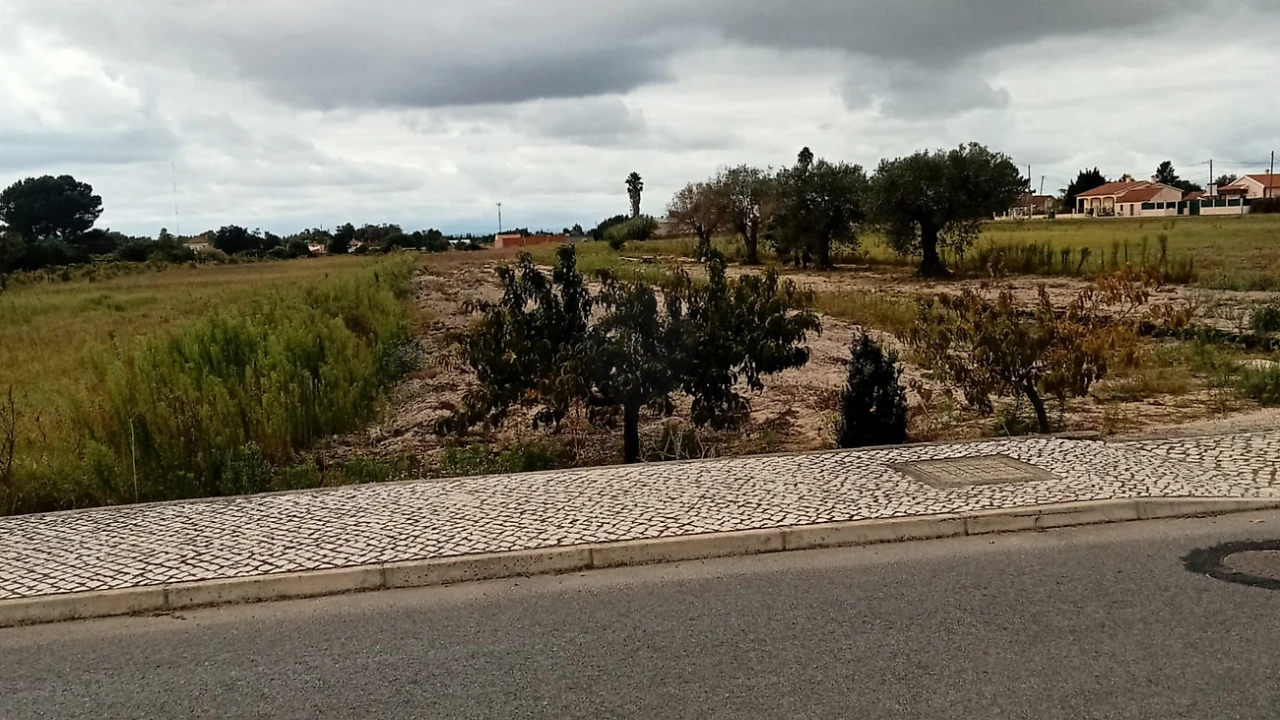Terreno para Venda em Glória do Ribatejo e Granho Foto 3