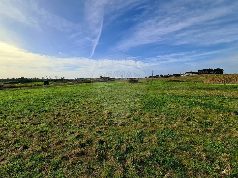 Terreno para Venda em Ereira e Lapa Foto 6