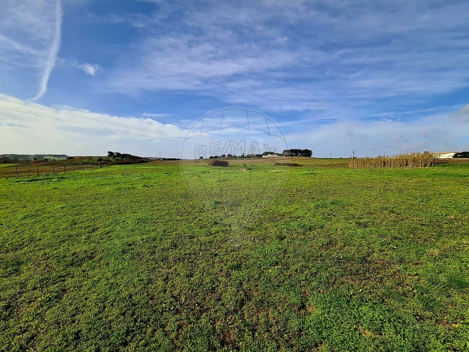 Terreno para Venda em Ereira e Lapa Foto 1