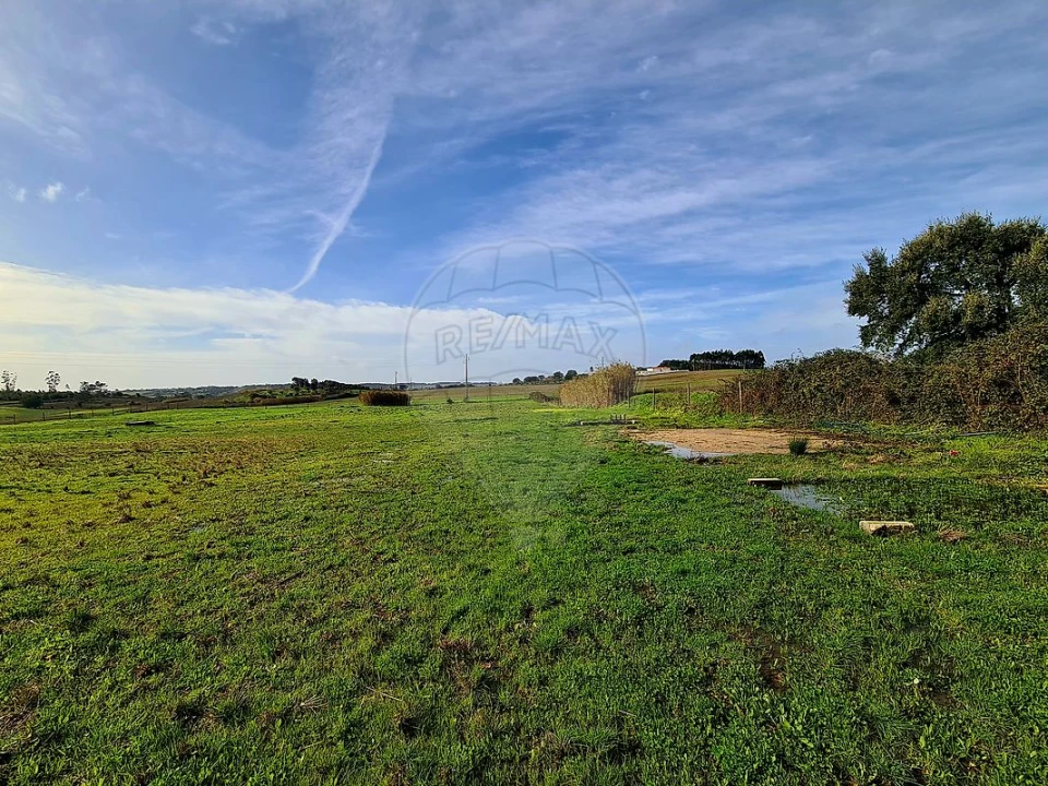 Terreno para Venda em Ereira e Lapa Foto 5