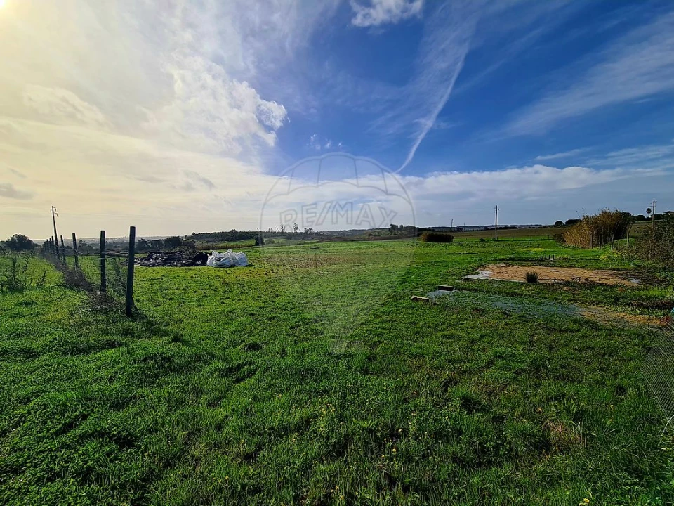 Terreno para Venda em Ereira e Lapa Foto 4