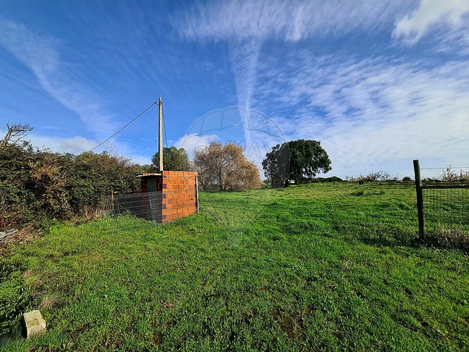 Terreno para Venda em Ereira e Lapa Foto 3