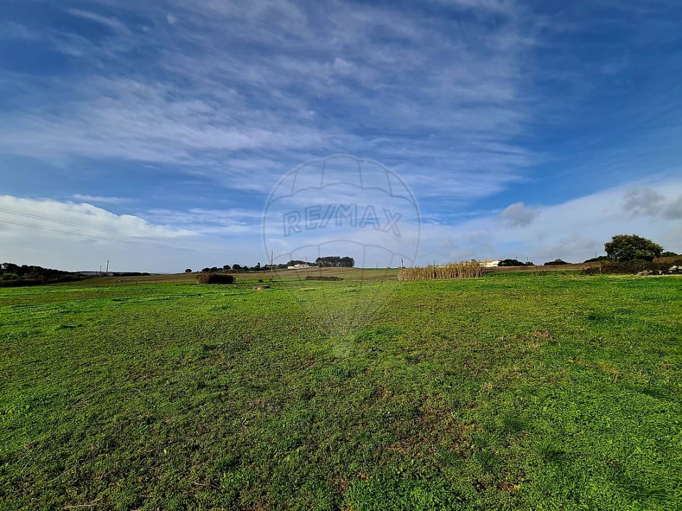 Terreno para Venda em Ereira e Lapa Foto 8