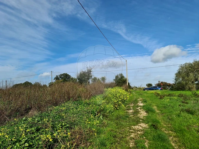 Terreno para Venda em Ereira e Lapa Foto 2