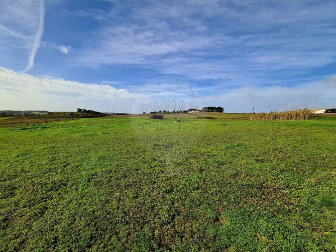 Terreno para Venda em Ereira e Lapa Foto 1